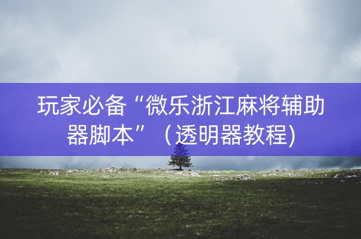 玩家必备“微乐浙江麻将辅助器脚本”（透明器教程)