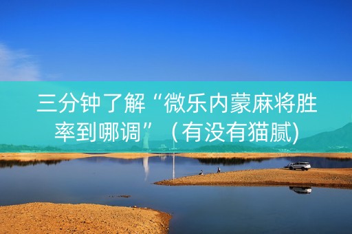 三分钟了解“微乐内蒙麻将胜率到哪调”（有没有猫腻)