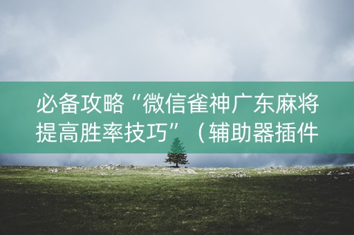 必备攻略“微信雀神广东麻将提高胜率技巧”（辅助器插件)