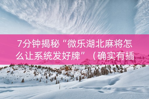 7分钟揭秘“微乐湖北麻将怎么让系统发好牌”（确实有插件吗)
