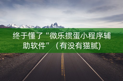 终于懂了“微乐掼蛋小程序辅助软件”（有没有猫腻)