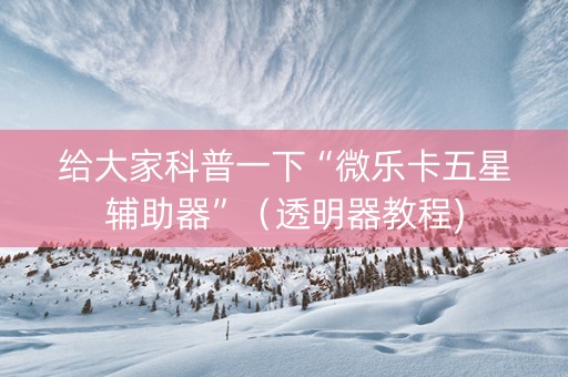 给大家科普一下“微乐卡五星辅助器”（透明器教程)