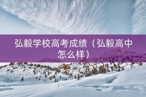 弘毅学校高考成绩（弘毅高中怎么样）