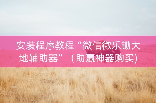安装程序教程“微信微乐锄大地辅助器”（助赢神器购买)