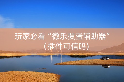玩家必看“微乐掼蛋辅助器”（插件可信吗)