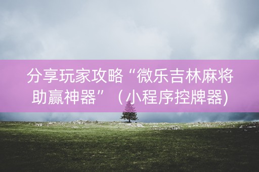 分享玩家攻略“微乐吉林麻将助赢神器”（小程序控牌器)