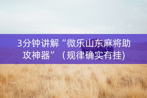 3分钟讲解“微乐山东麻将助攻神器”（规律确实有挂)
