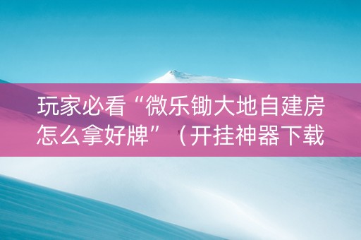 玩家必看“微乐锄大地自建房怎么拿好牌”（开挂神器下载)
