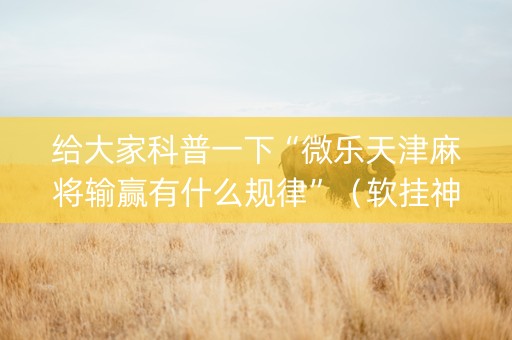 给大家科普一下“微乐天津麻将输赢有什么规律”（软挂神器)