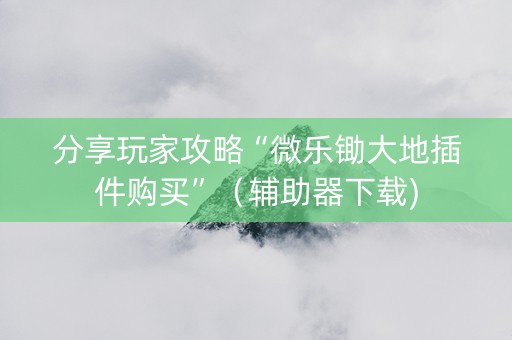 分享玩家攻略“微乐锄大地插件购买”（辅助器下载)