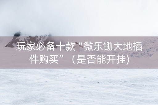 玩家必备十款“微乐锄大地插件购买”（是否能开挂)