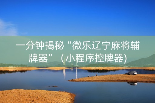 一分钟揭秘“微乐辽宁麻将辅牌器”（小程序控牌器)