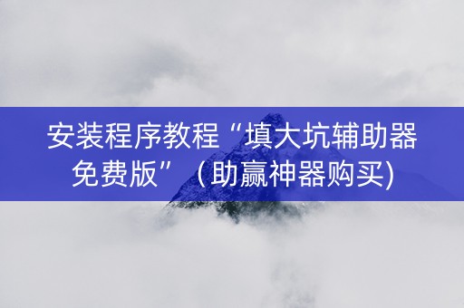 安装程序教程“填大坑辅助器免费版”（助赢神器购买)