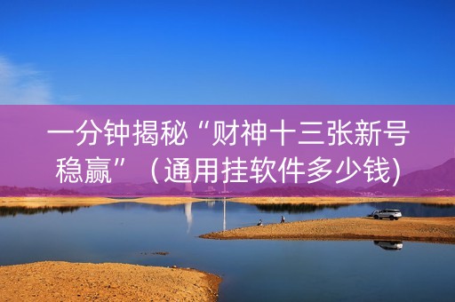 一分钟揭秘“财神十三张新号稳赢”（通用挂软件多少钱)