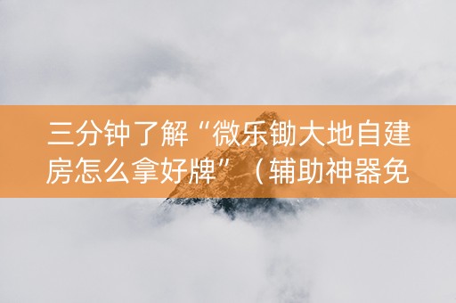 三分钟了解“微乐锄大地自建房怎么拿好牌”（辅助神器免费)