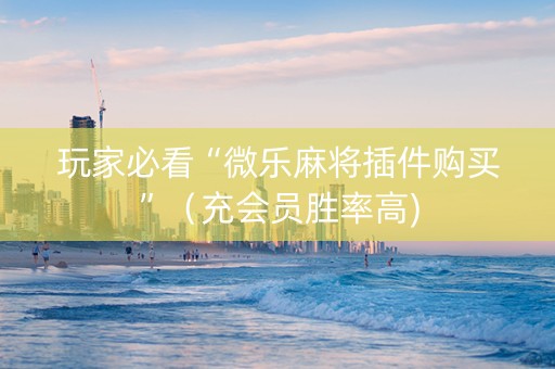 玩家必看“微乐麻将插件购买”（充会员胜率高)