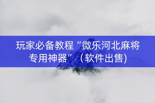 玩家必备教程“微乐河北麻将专用神器”（软件出售)