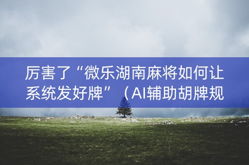 厉害了“微乐湖南麻将如何让系统发好牌”（AI辅助胡牌规则)