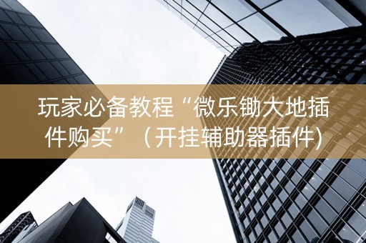 玩家必备教程“微乐锄大地插件购买”（开挂辅助器插件)