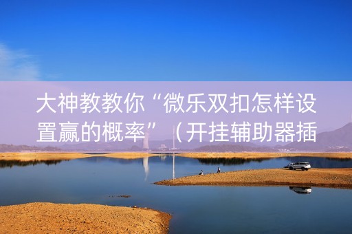大神教教你“微乐双扣怎样设置赢的概率”（开挂辅助器插件)