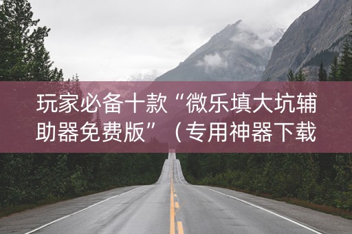玩家必备十款“微乐填大坑辅助器免费版”（专用神器下载)