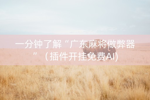 一分钟了解“广东麻将做弊器”（插件开挂免费AI)