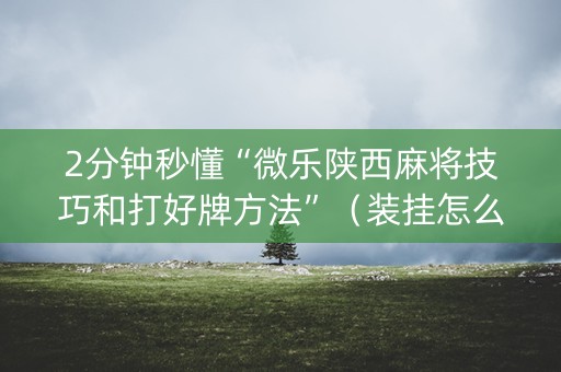 2分钟秒懂“微乐陕西麻将技巧和打好牌方法”（装挂怎么安装)