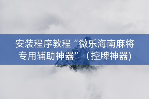 安装程序教程“微乐海南麻将专用辅助神器”（控牌神器)