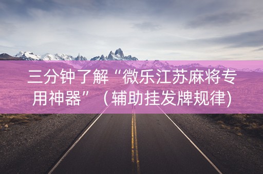三分钟了解“微乐江苏麻将专用神器”（辅助挂发牌规律)