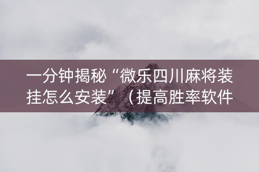 一分钟揭秘“微乐四川麻将装挂怎么安装”（提高胜率软件)