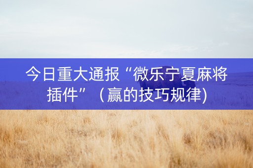 今日重大通报“微乐宁夏麻将插件”（赢的技巧规律)