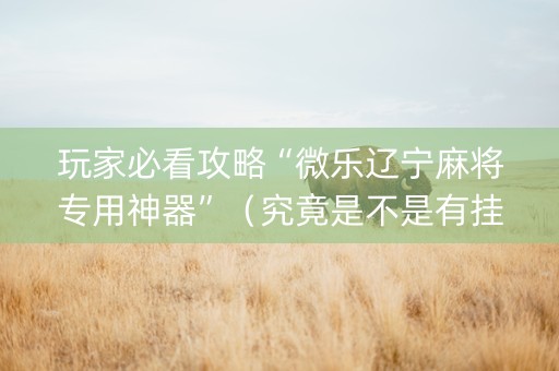 玩家必看攻略“微乐辽宁麻将专用神器”（究竟是不是有挂)