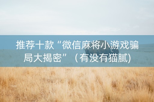 推荐十款“微信麻将小游戏骗局大揭密”（有没有猫腻)
