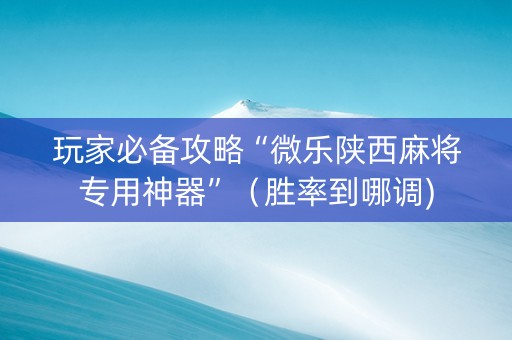 玩家必备攻略“微乐陕西麻将专用神器”（胜率到哪调)