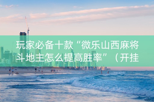 玩家必备十款“微乐山西麻将斗地主怎么提高胜率”（开挂辅助插件)