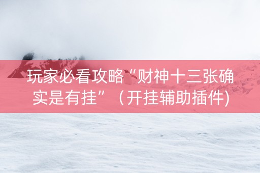 玩家必看攻略“财神十三张确实是有挂”（开挂辅助插件)