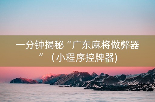 一分钟揭秘“广东麻将做弊器”（小程序控牌器)