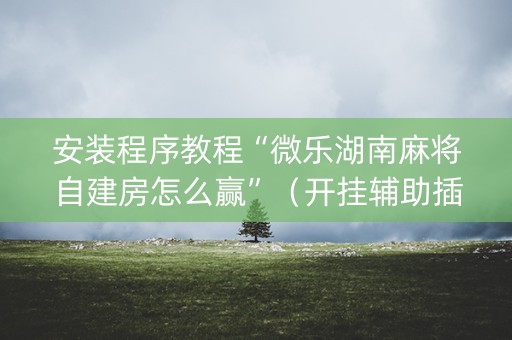 安装程序教程“微乐湖南麻将自建房怎么赢”（开挂辅助插件)