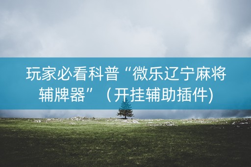 玩家必看科普“微乐辽宁麻将辅牌器”（开挂辅助插件)