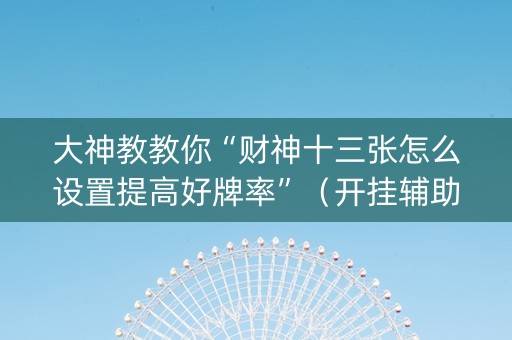 大神教教你“财神十三张怎么设置提高好牌率”（开挂辅助器插件)