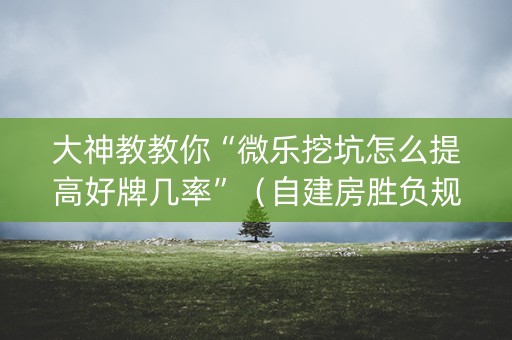 大神教教你“微乐挖坑怎么提高好牌几率”（自建房胜负规律)