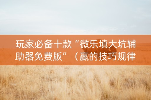 玩家必备十款“微乐填大坑辅助器免费版”（赢的技巧规律)