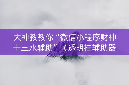 大神教教你“微信小程序财神十三水辅助”（透明挂辅助器)