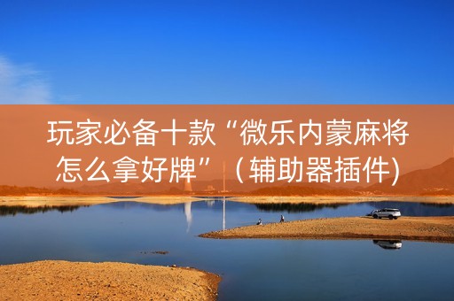 玩家必备十款“微乐内蒙麻将怎么拿好牌”（辅助器插件)