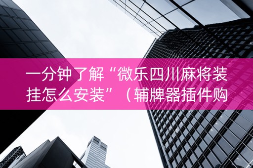 一分钟了解“微乐四川麻将装挂怎么安装”（辅牌器插件购买)