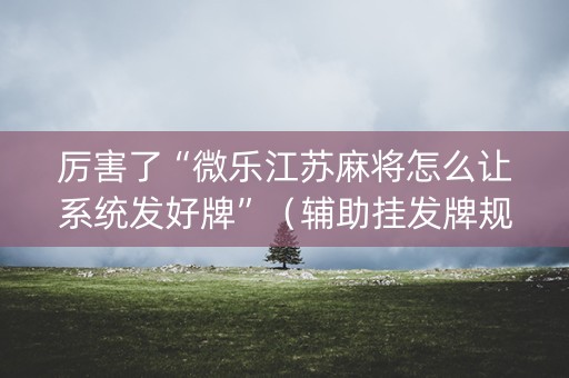 厉害了“微乐江苏麻将怎么让系统发好牌”（辅助挂发牌规律)