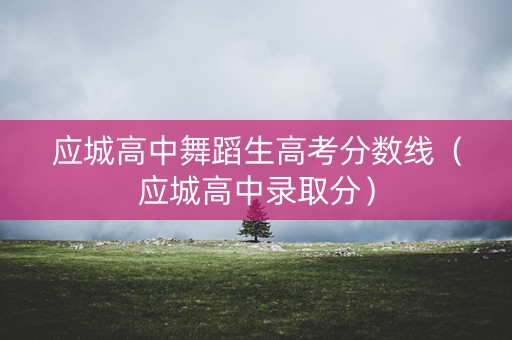 应城高中舞蹈生高考分数线（应城高中录取分）