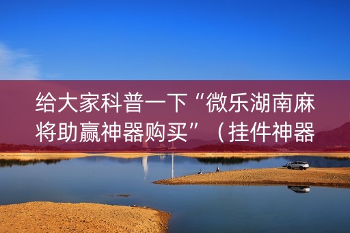 给大家科普一下“微乐湖南麻将助赢神器购买”（挂件神器)