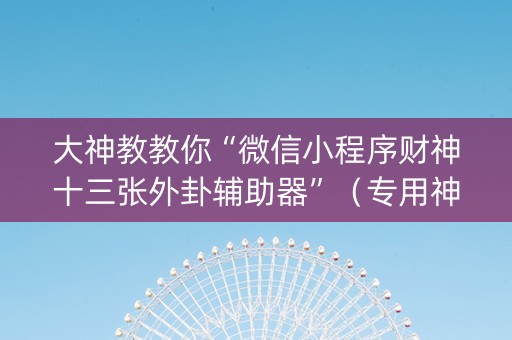 大神教教你“微信小程序财神十三张外卦辅助器”（专用神器)