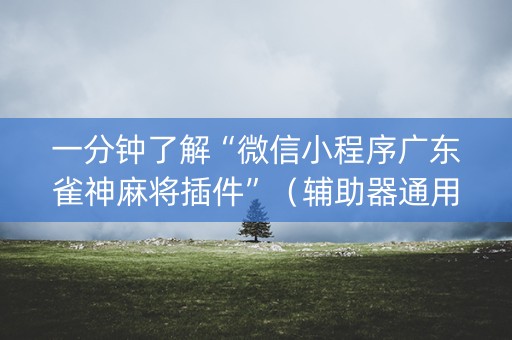 一分钟了解“微信小程序广东雀神麻将插件”（辅助器通用版)